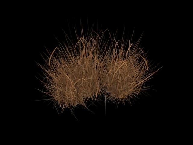 Copper Grass Clump, realistic 3D model, GLB